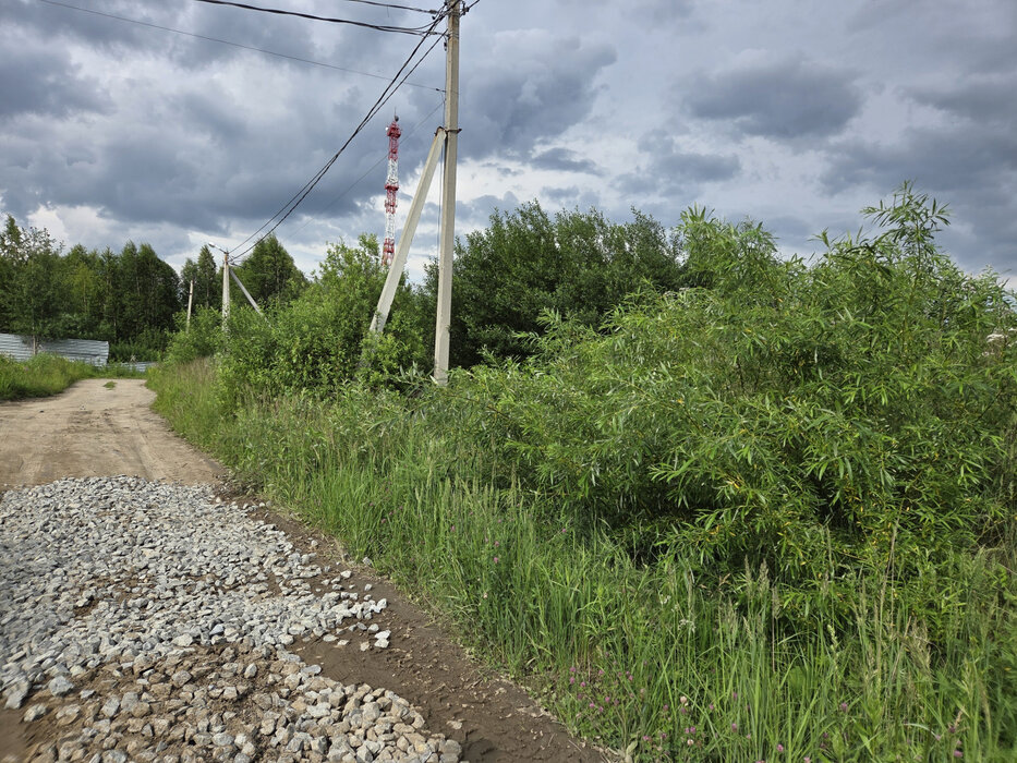 Екатеринбург, СНТ Факел-1, ул. Дублер Сибирского тракта, 75б (М.Исток) - фото сада (5)