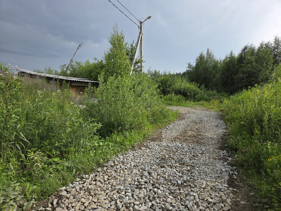 Екатеринбург, СНТ Факел-1, ул. Дублер Сибирского тракта, 75б (М.Исток) - фото сада (7)