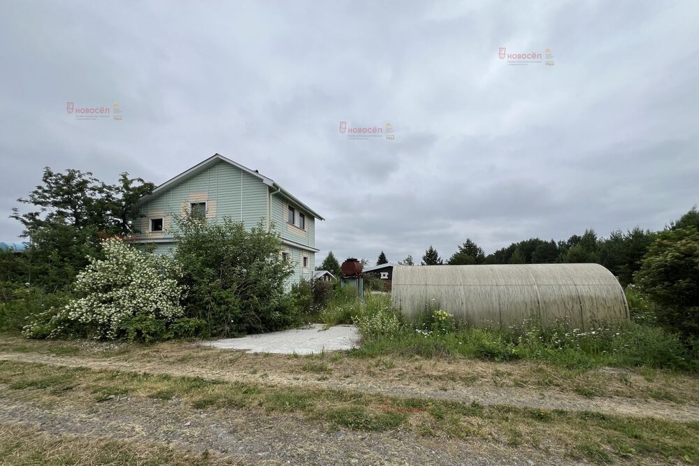с. Малобрусянское, СНТ Строитель, уч. 115 (городской округ Белоярский) - фото сада (3)