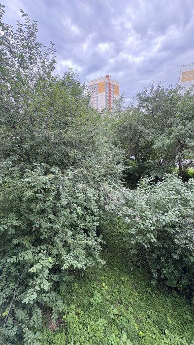 Екатеринбург, ул. Сыромолотова, 28 (ЖБИ) - фото квартиры (6)
