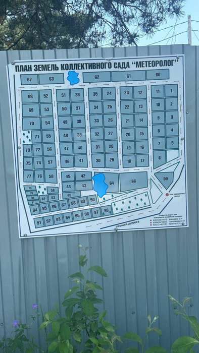 пгт. Верхнее Дуброво, тер. СНТ Метеоролог, уч. 70 (городской округ Верхнее Дуброво) - фото сада (5)