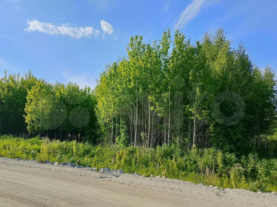 г. Березовский (городской округ Березовский) - фото сада (1)