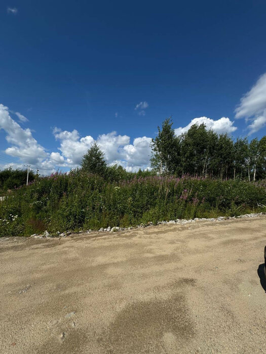 г. Березовский, к/с  № 127 Дачник (городской округ Березовский) - фото сада (3)