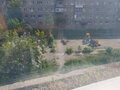 Продажа квартиры: г. Нижний Тагил, ул. Константина Пылаева, 20 (городской округ Нижний Тагил) - Фото 7