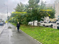 Продажа бизнеса: Екатеринбург, ул. Фурманова, 35 (Автовокзал) - Фото 2