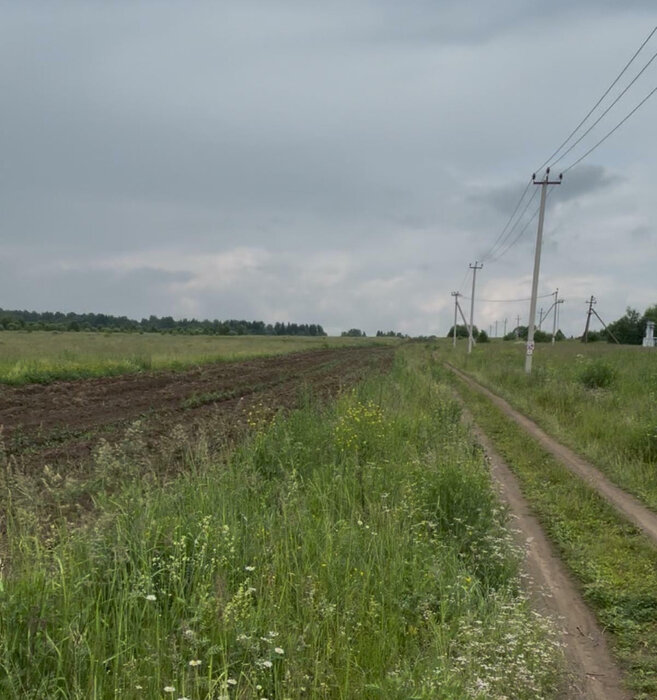 д. Курья, ул. Дачная (городской округ Староуткинск) - фото земельного участка (1)