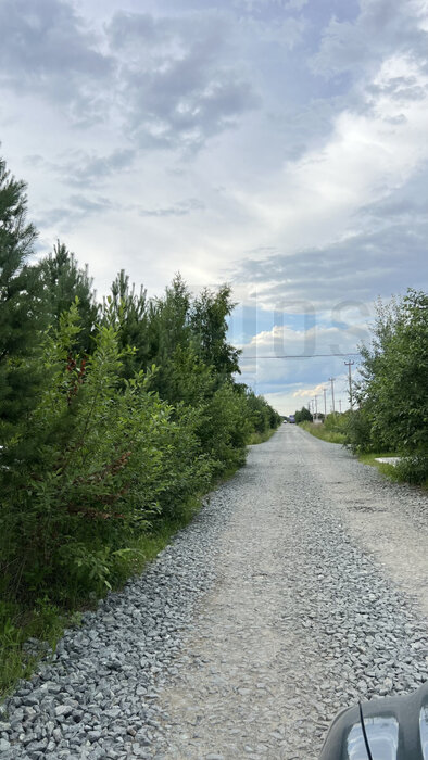 к.п. Улесье (Чкаловский район) - фото земельного участка (6)
