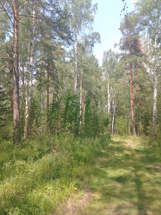 г. Ревда, ул. Волчихинское Вдхр (городской округ Ревда) - фото земельного участка (5)