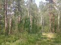 Продажа земельного участка коммерческого назначения: г. Ревда, ул. Волчихинское Вдхр (городской округ Ревда) - Фото 5
