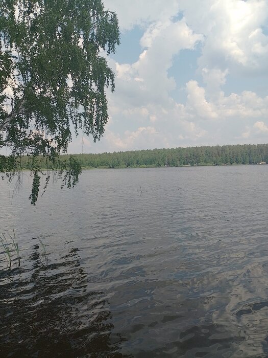 г. Ревда, ул. Волчихинское Вдхр (городской округ Ревда) - фото земельного участка (6)