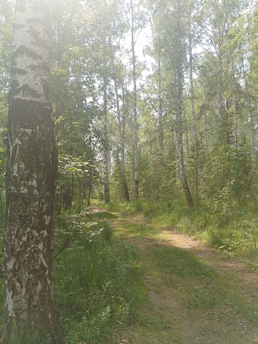 г. Ревда, ул. Волчихинское Вдхр (городской округ Ревда) - фото земельного участка (7)