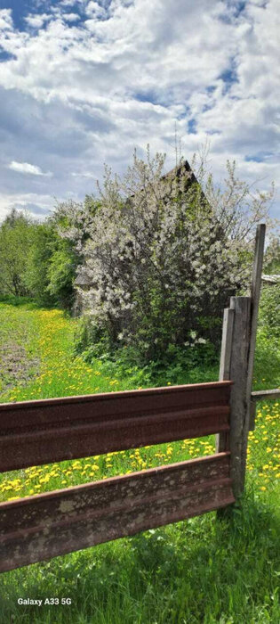 п. Рефтинский, тер. Снт ЦТАИ, уч. 38 (городской округ Рефтинский) - фото сада (1)