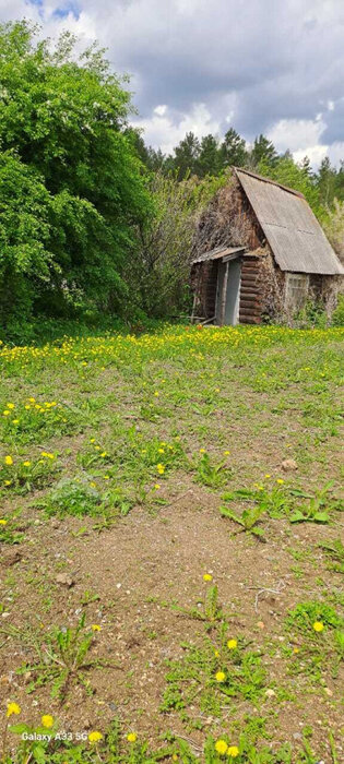 п. Рефтинский, тер. Снт ЦТАИ, уч. 38 (городской округ Рефтинский) - фото сада (2)