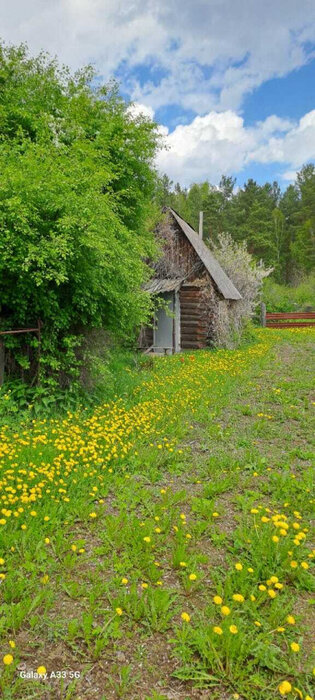 п. Рефтинский, тер. Снт ЦТАИ, уч. 38 (городской округ Рефтинский) - фото сада (3)