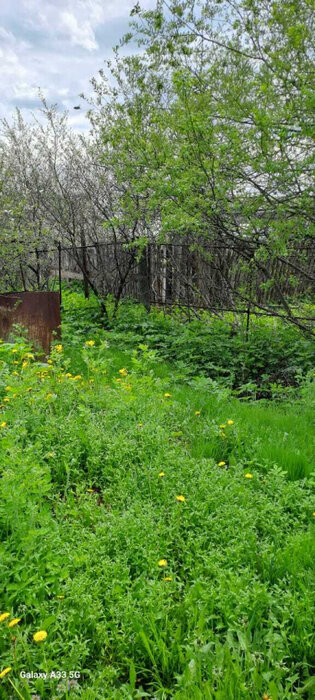 п. Рефтинский, тер. Снт ЦТАИ, уч. 38 (городской округ Рефтинский) - фото сада (4)