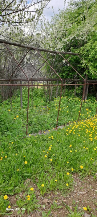 п. Рефтинский, тер. Снт ЦТАИ, уч. 38 (городской округ Рефтинский) - фото сада (7)