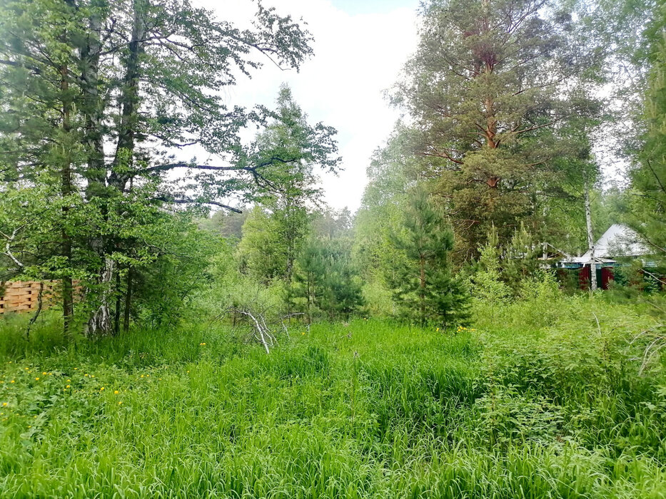 с. Кунгурка, ул. Колхозная, 15 (городской округ Ревда) - фото земельного участка (2)