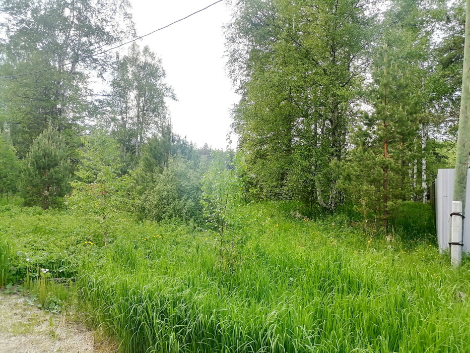 с. Кунгурка, ул. Колхозная, 15 (городской округ Ревда) - фото земельного участка (3)