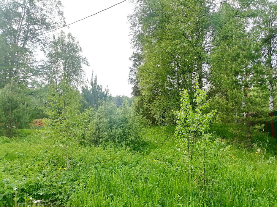 с. Кунгурка, ул. Колхозная, 15 (городской округ Ревда) - фото земельного участка (4)