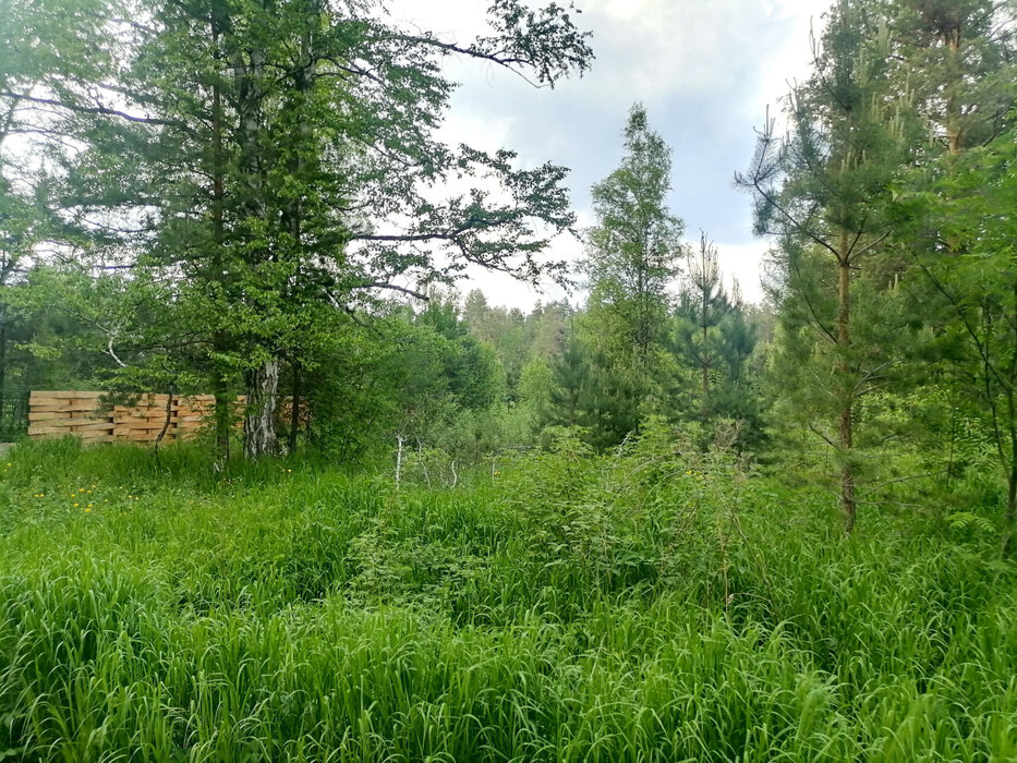 с. Кунгурка, ул. Колхозная, 15 (городской округ Ревда) - фото земельного участка (5)