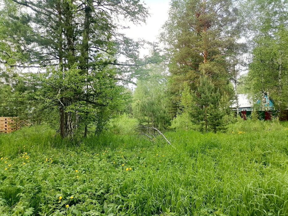 с. Кунгурка, ул. Колхозная, 15 (городской округ Ревда) - фото земельного участка (7)