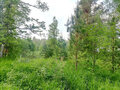 Продажа земельного участка: с. Кунгурка, ул. Колхозная, 15 (городской округ Ревда) - Фото 8