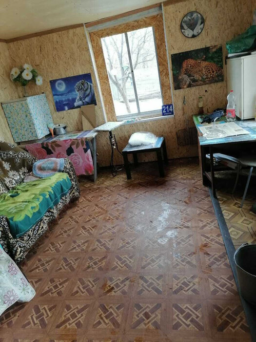 поселок городского типа Белоярский, тер. Снт Белый Яр (городской округ Белоярский) - фото сада (4)