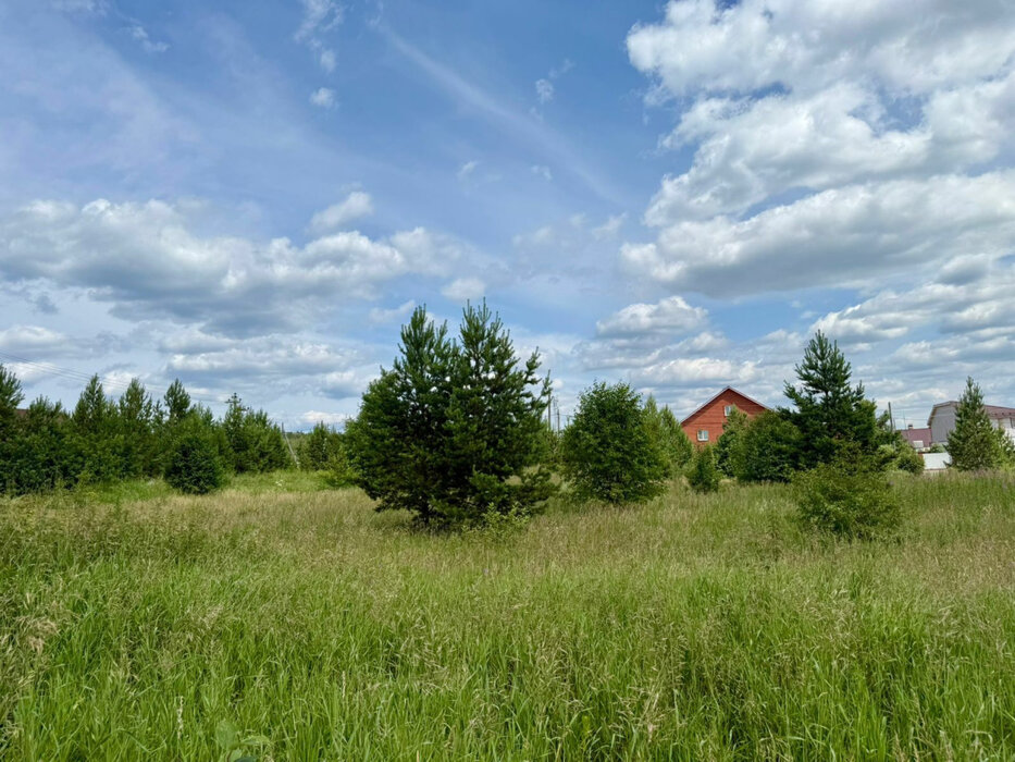 д. Гусева, ул. Восточная, 7 (городской округ Белоярский) - фото земельного участка (1)