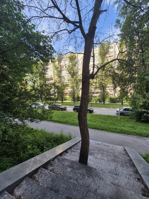 Екатеринбург, ул. Бажова, 161 (Центр) - фото торговой площади (5)