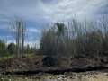 Продажа земельного участка: г. Березовский, ул. Бирюзовая, 31 (городской округ Березовский) - Фото 3