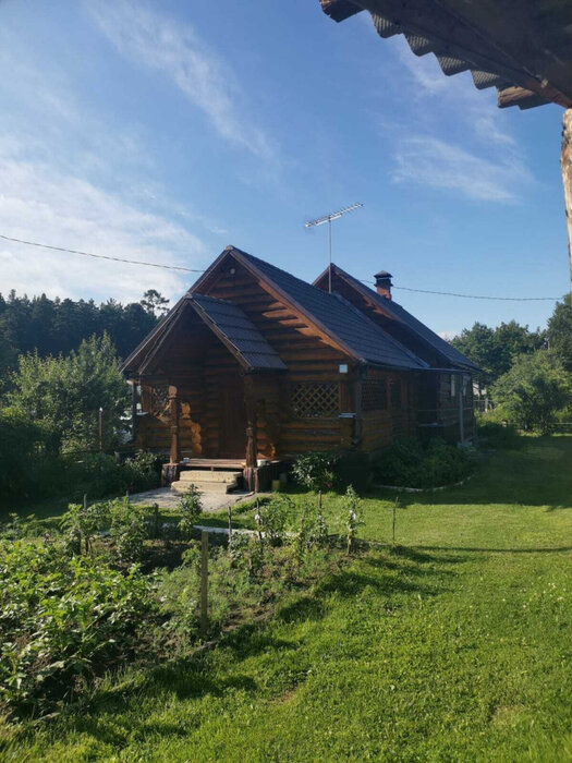 Екатеринбург, СНТ Родничок-97 - фото сада (3)