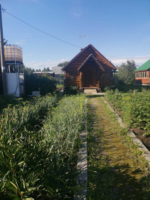 Екатеринбург, СНТ Родничок-97 - фото сада (4)