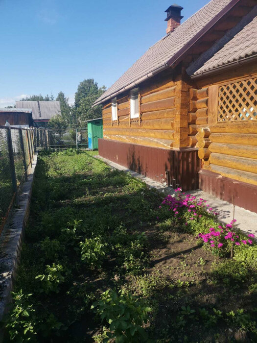Екатеринбург, СНТ Родничок-97 - фото сада (6)