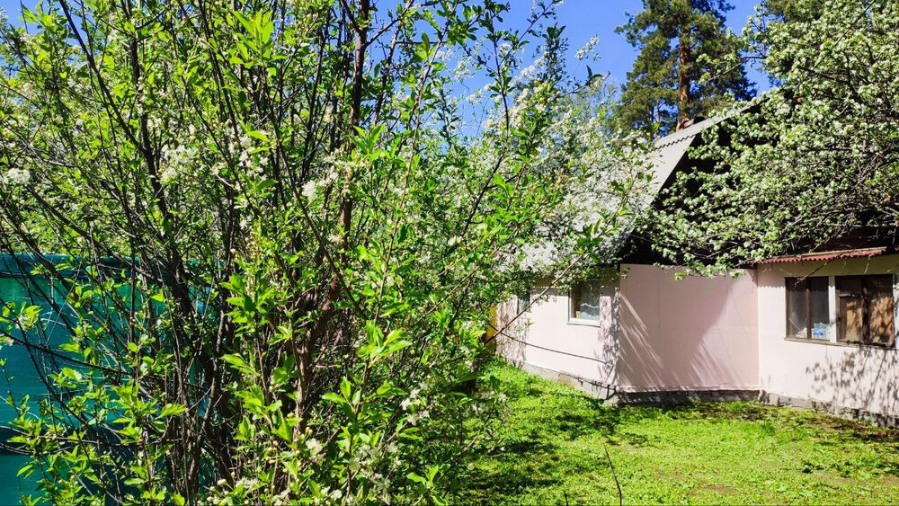 Екатеринбург, СНТ Садовод, к/с Медик-3, уч., уч. 38 (Уралмаш) - фото сада (2)