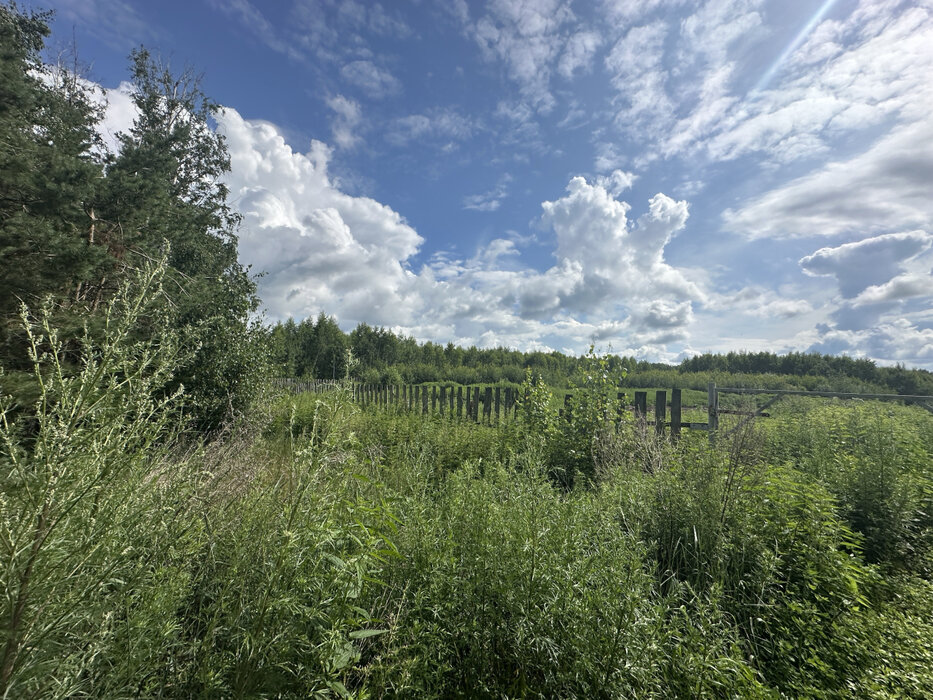 п. Асбест, ул. в  5 км юго-западнее п.Асбест (городской округ Сысертский) - фото земельного участка (1)