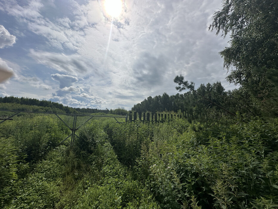 п. Асбест, ул. в  5 км юго-западнее п.Асбест (городской округ Сысертский) - фото земельного участка (2)