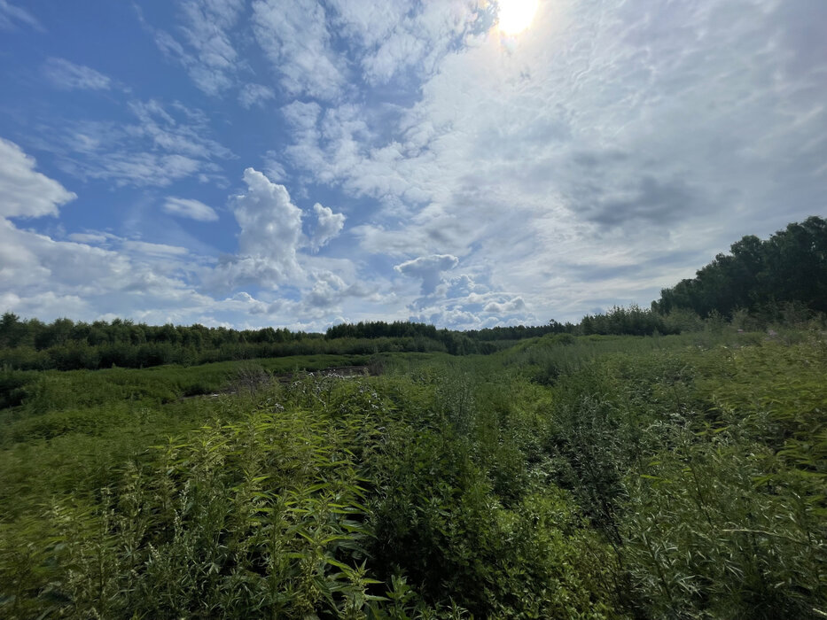п. Асбест, ул. в  5 км юго-западнее п.Асбест (городской округ Сысертский) - фото земельного участка (6)