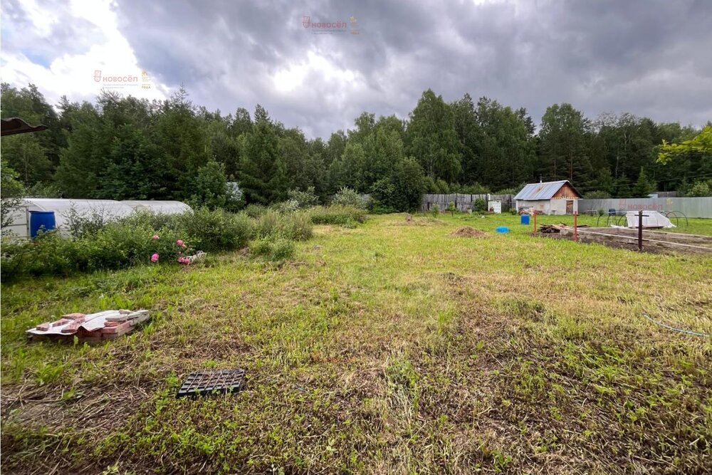 п. Красный, СНТ Перейма, уч. 13 (городской округ Верхняя Пышма) - фото сада (1)
