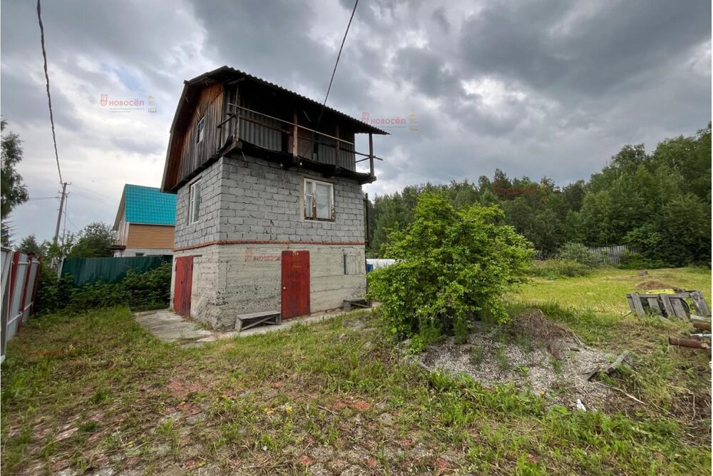 п. Красный, СНТ Перейма, уч. 13 (городской округ Верхняя Пышма) - фото сада (3)