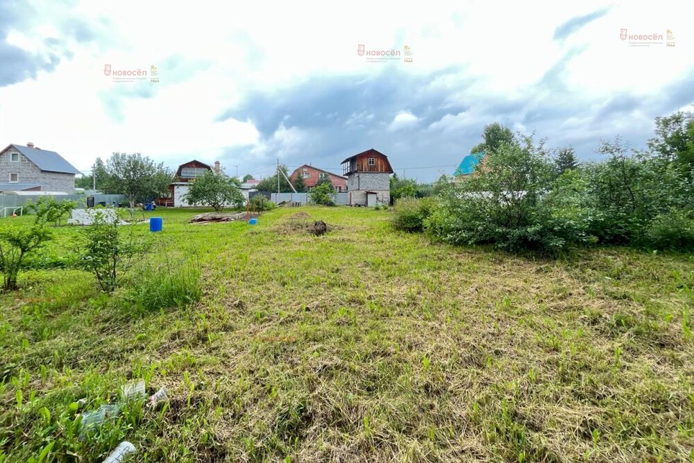 п. Красный, СНТ Перейма, уч. 13 (городской округ Верхняя Пышма) - фото сада (4)
