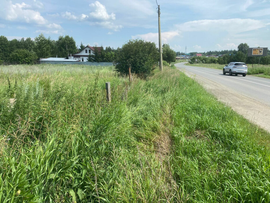 с. Мезенское, ул. Главная, 4 (городской округ Заречный) - фото земельного участка (1)