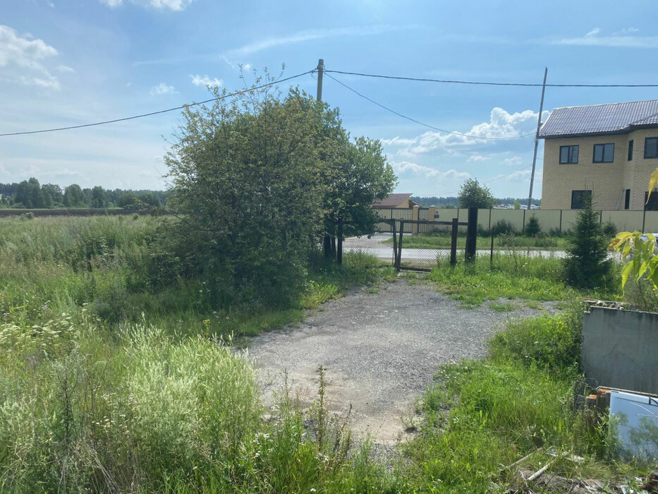 с. Мезенское, ул. Главная, 4 (городской округ Заречный) - фото земельного участка (3)
