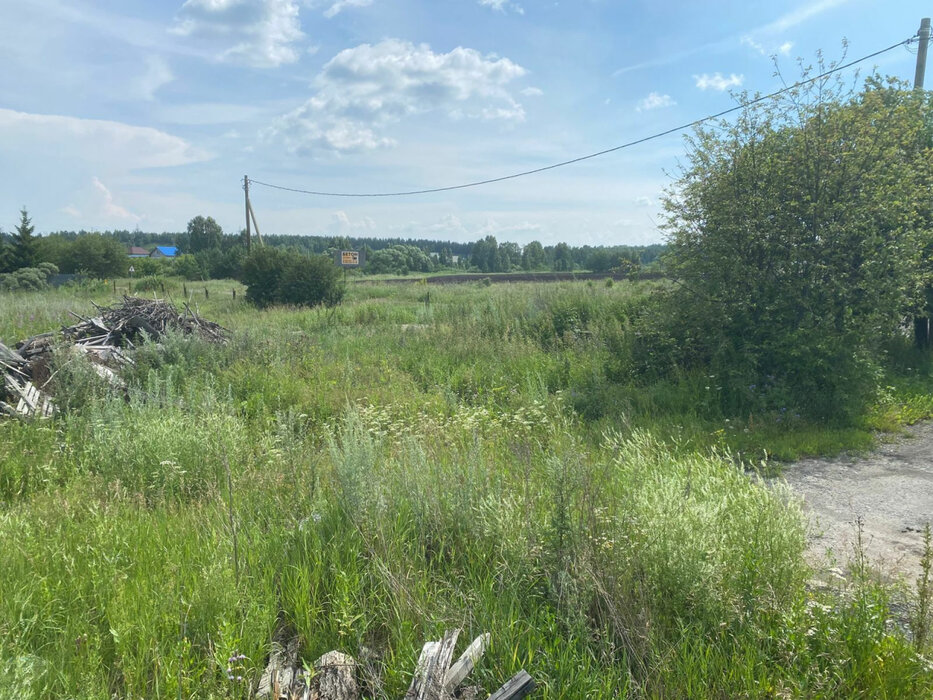 с. Мезенское, ул. Главная, 4 (городской округ Заречный) - фото земельного участка (4)