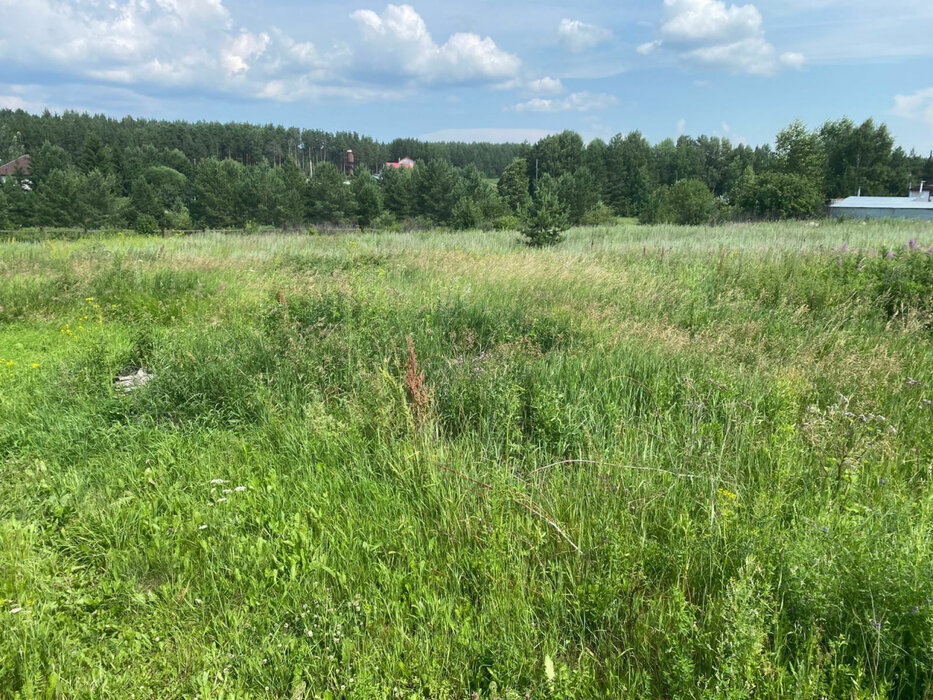 с. Мезенское, ул. Главная, 4 (городской округ Заречный) - фото земельного участка (5)