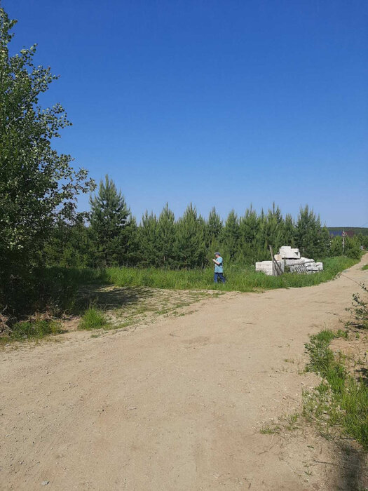 д. Гагарка, ул. Сосновая (городской округ Заречный) - фото земельного участка (4)