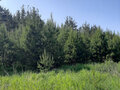 Продажа земельного участка: д. Гагарка, ул. Сосновая (городской округ Заречный) - Фото 6