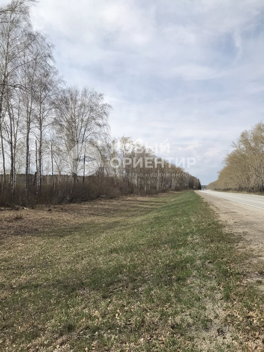 с. Большебрусянское (городской округ Белоярский) - фото земельного участка (2)
