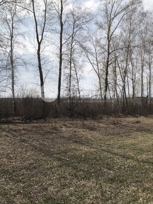 с. Большебрусянское (городской округ Белоярский) - фото земельного участка (3)