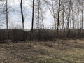 Продажа земельного участка: с. Большебрусянское (городской округ Белоярский) - Фото 3
