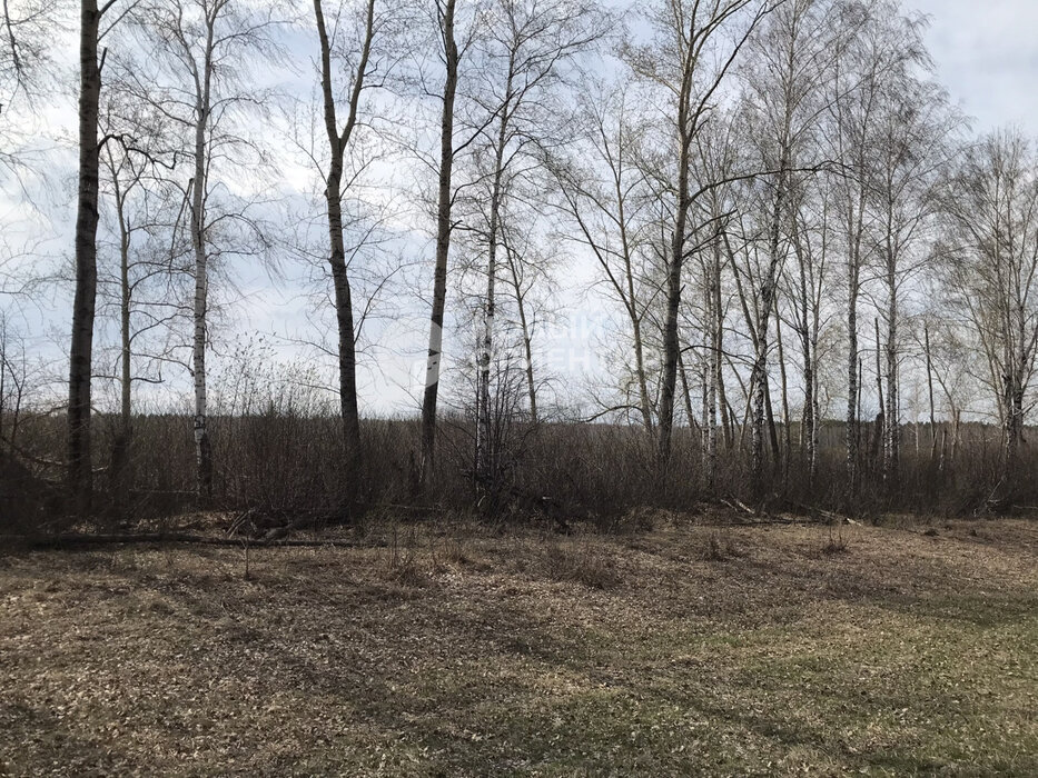 с. Большебрусянское (городской округ Белоярский) - фото земельного участка (4)